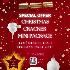 Member Christmas Cracker (3 x 30 minute lessons)